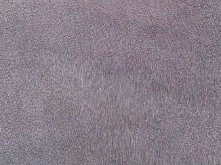 WHJSHOP Rideaux Courts à Motif Peau De Vache Rouge Marron Avec Tringle 137,2 X 45,7 Cm – Cantonnière De Cuisine, Salle De Bain, Buanderie, Studio – Décoration D'intérieur