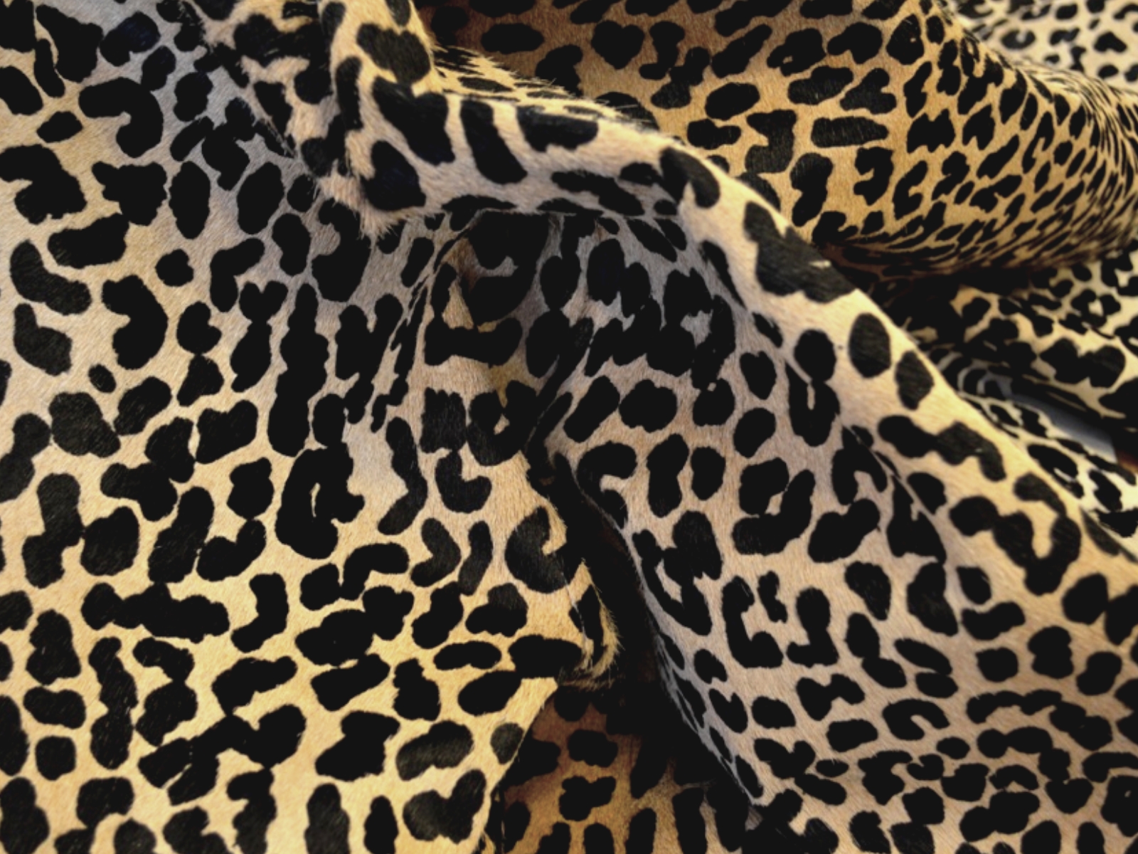 Leopard Imprimé léopard Tablier Panthera Specie peau 