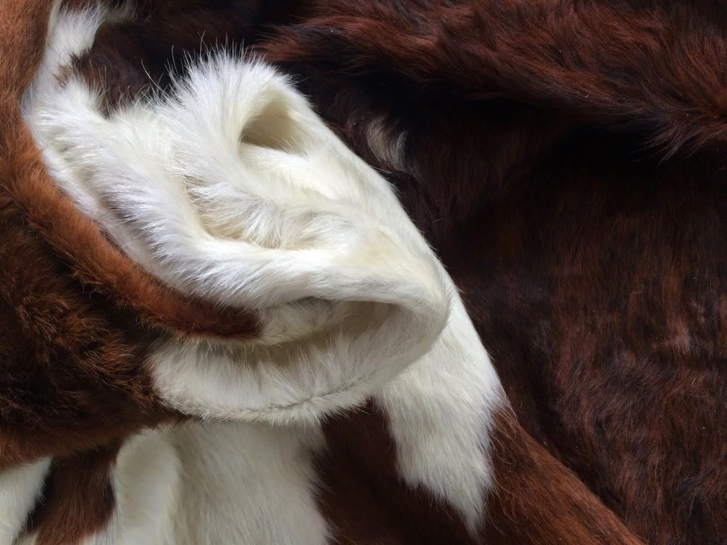 Peau-De-Vache-Blanche-Noisette